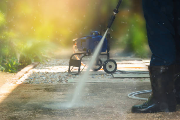 Best Gutter Cleaning  in Buffalo Center, IA